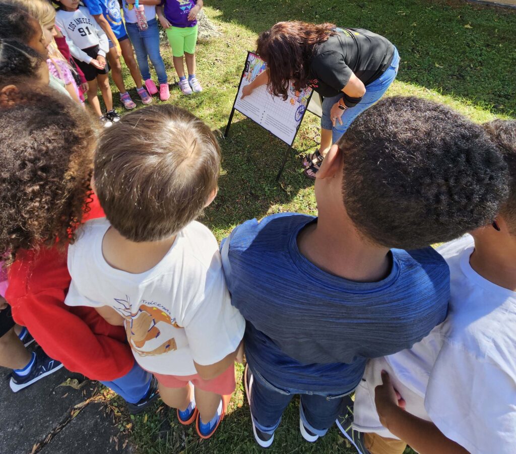 book walks