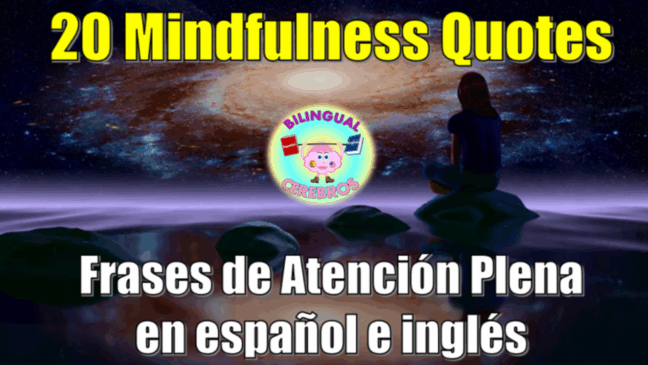 mindfulness https://www.youtube.com/watch?v=gx1_3L1DCQM&list=PL5TlFjB4h2gUYhYGVv9l_HYTkhbw9ecrB&index=2